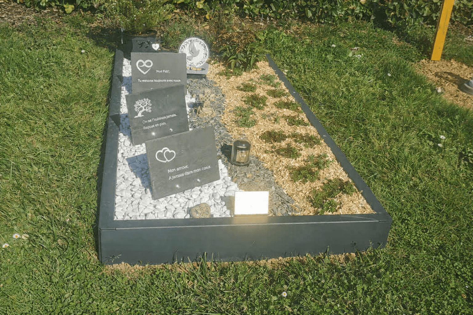 Image 9