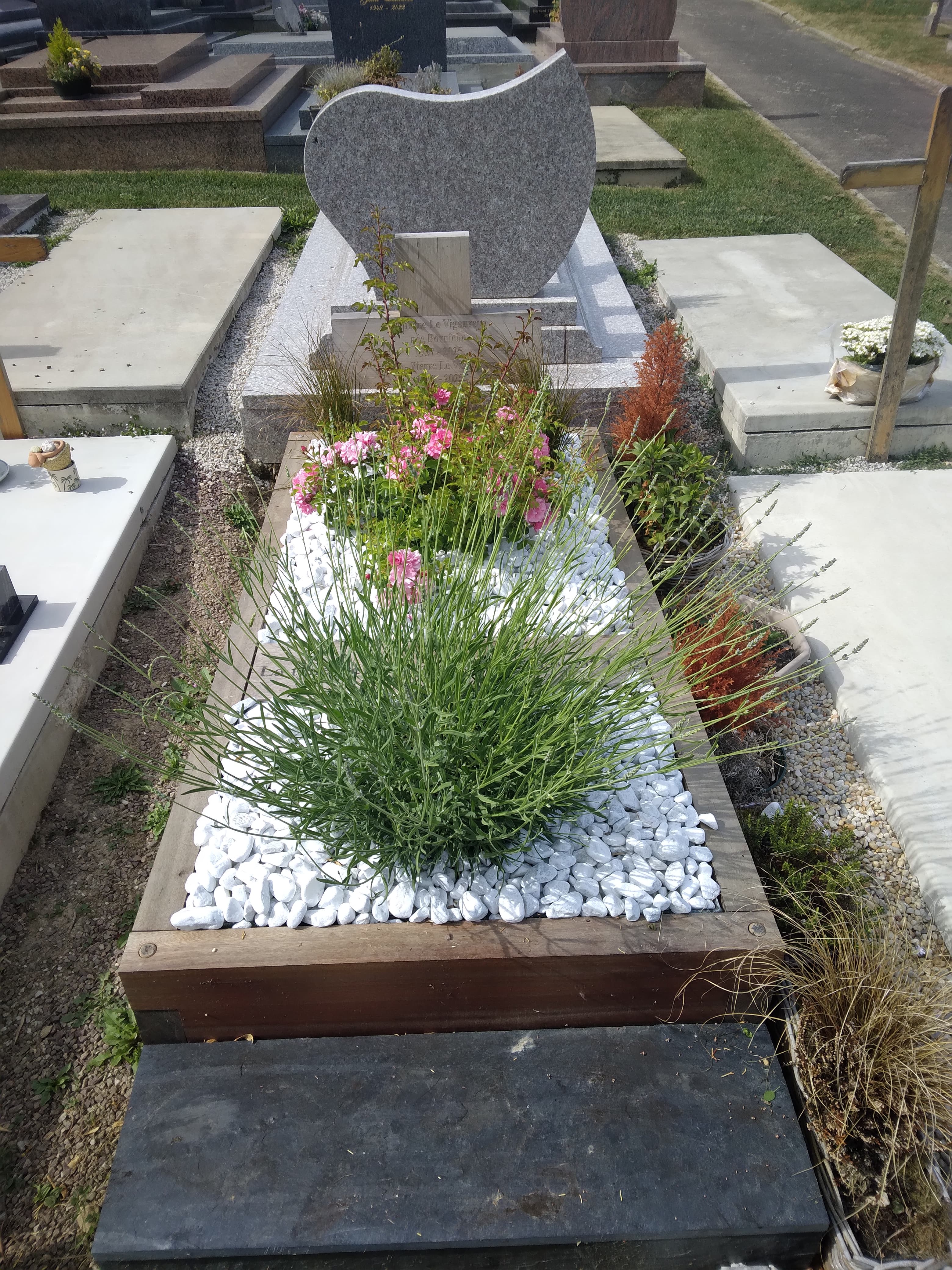 Image 13