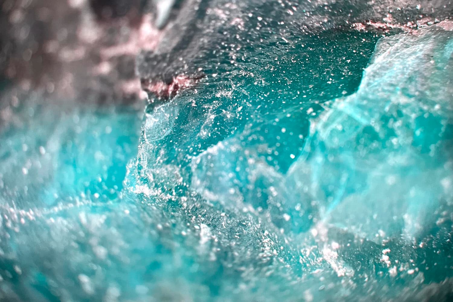 Aquamation et promession : ces alternatives écologiques sont-elles légales en France ?